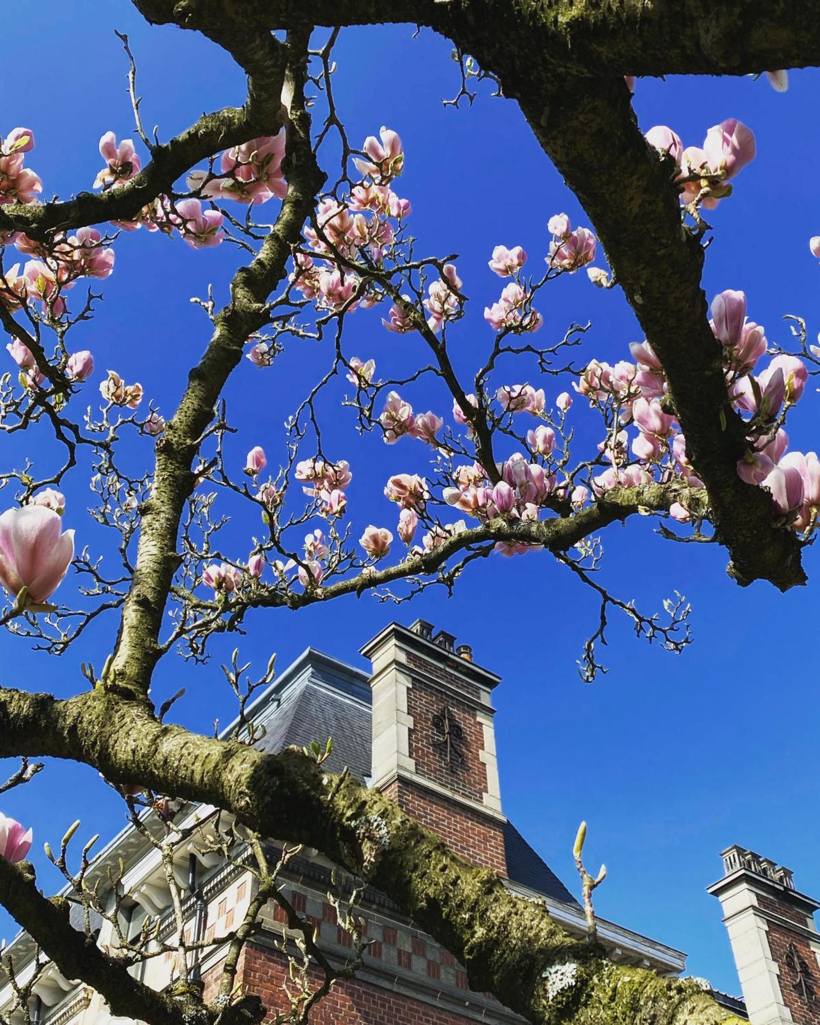 La Villa Barbieux Roubaix Eksteriør billede
